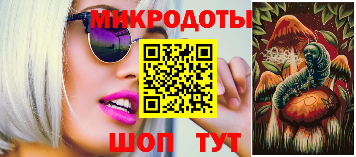 Псилоцибиновые грибы Cubensis Новочеркасск