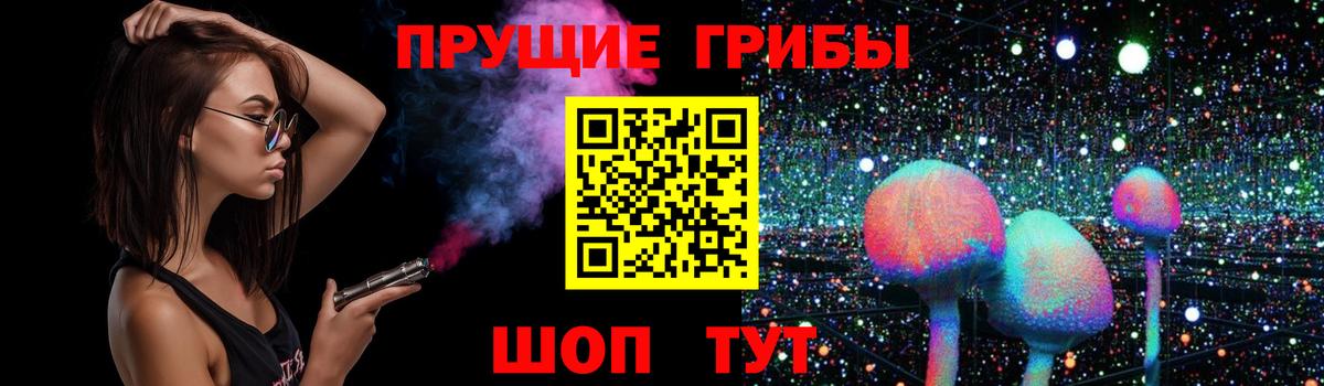 Псилоцибиновые грибы мицелий  Вход с VPN  Новочеркасск 